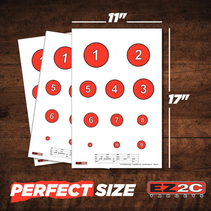 EZ2C Targets #20/RD7: Reducing Circles Paper Shooting Targets 11"x17" USA Made
